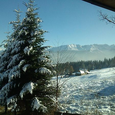 Panorama Tatr Zakopane Bagian luar foto