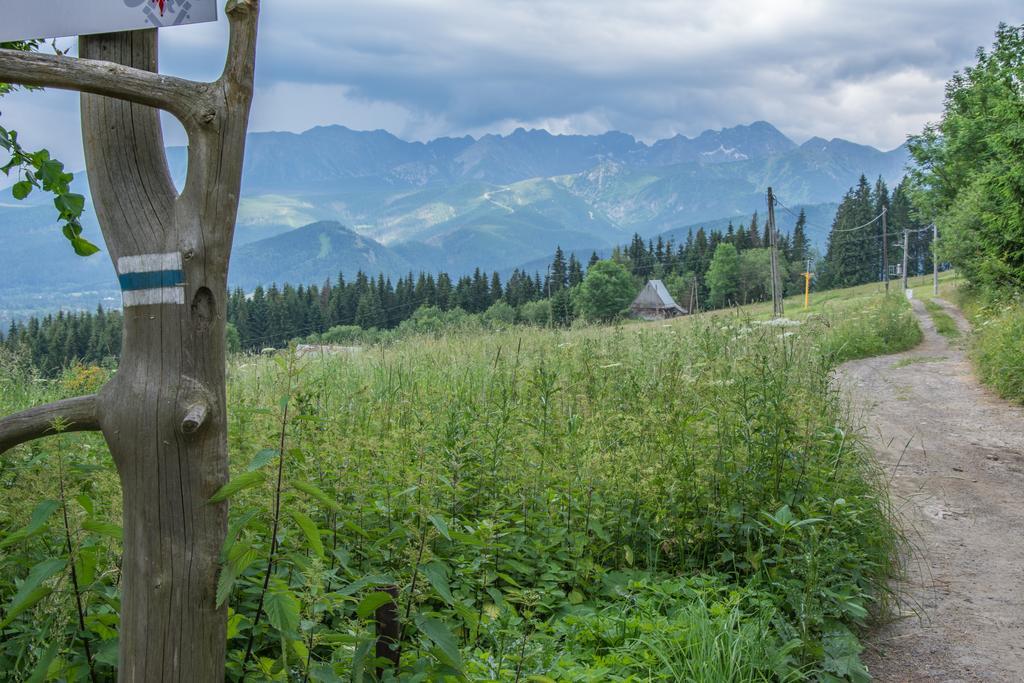 Panorama Tatr Zakopane Bagian luar foto